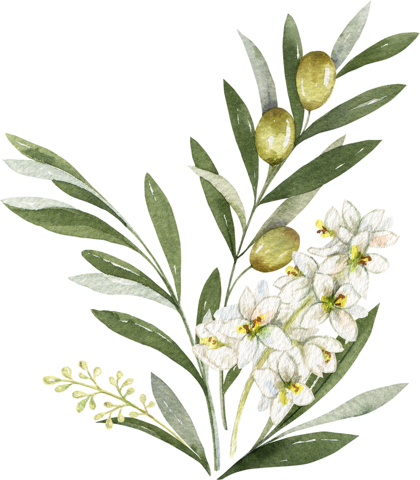 Watercolor bouquet with green olives and branches.