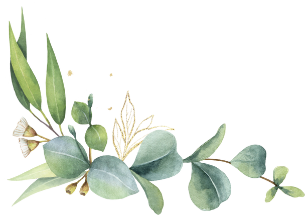 Green watercolor wreath. Eucalyptus leaves.